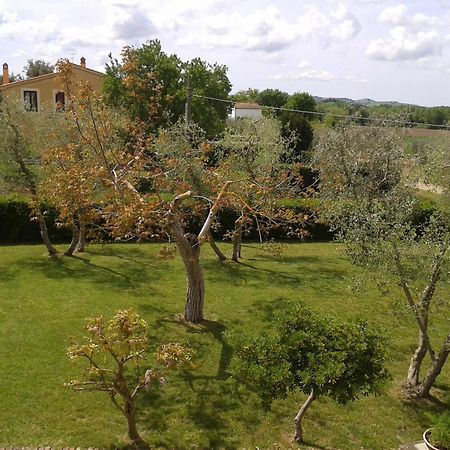 Il Punto Verde SantʼAntonio Екстериор снимка