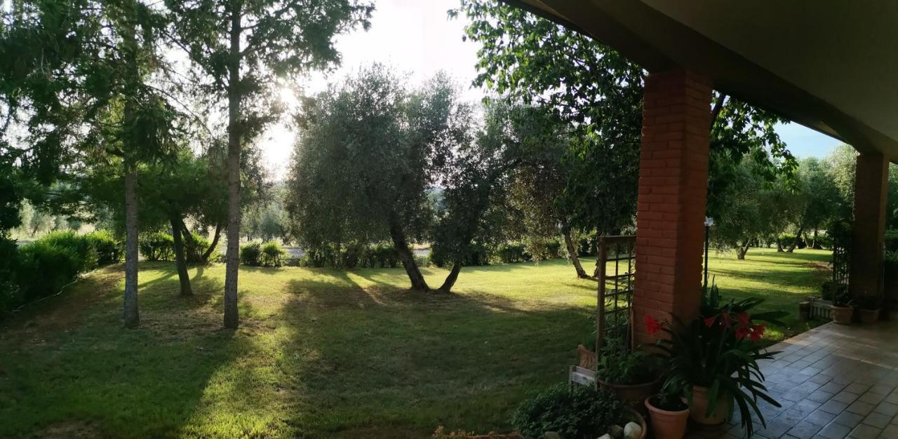 Il Punto Verde SantʼAntonio Екстериор снимка