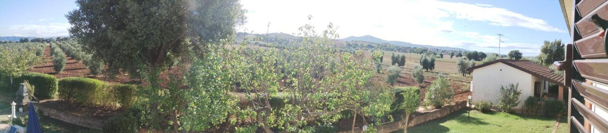 Il Punto Verde SantʼAntonio Екстериор снимка