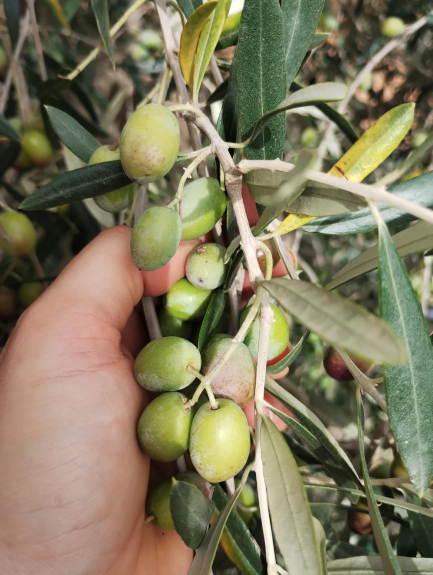 Il Punto Verde SantʼAntonio Екстериор снимка