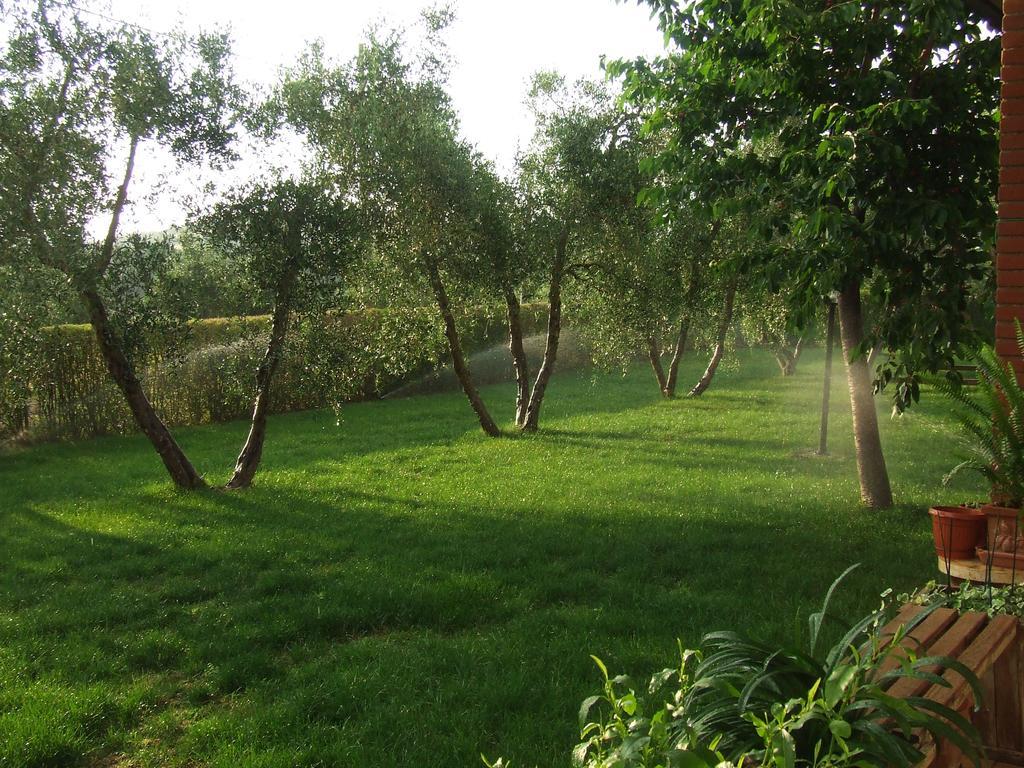 Il Punto Verde SantʼAntonio Екстериор снимка