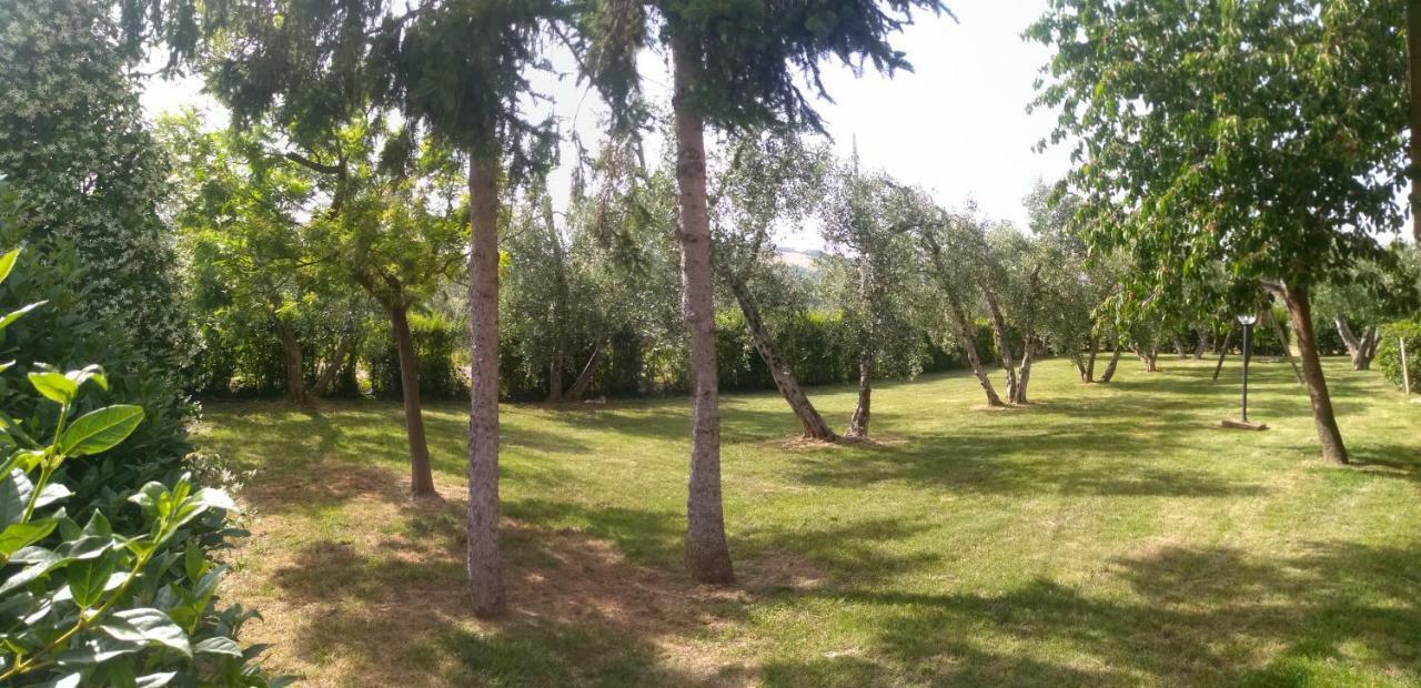 Il Punto Verde SantʼAntonio Екстериор снимка